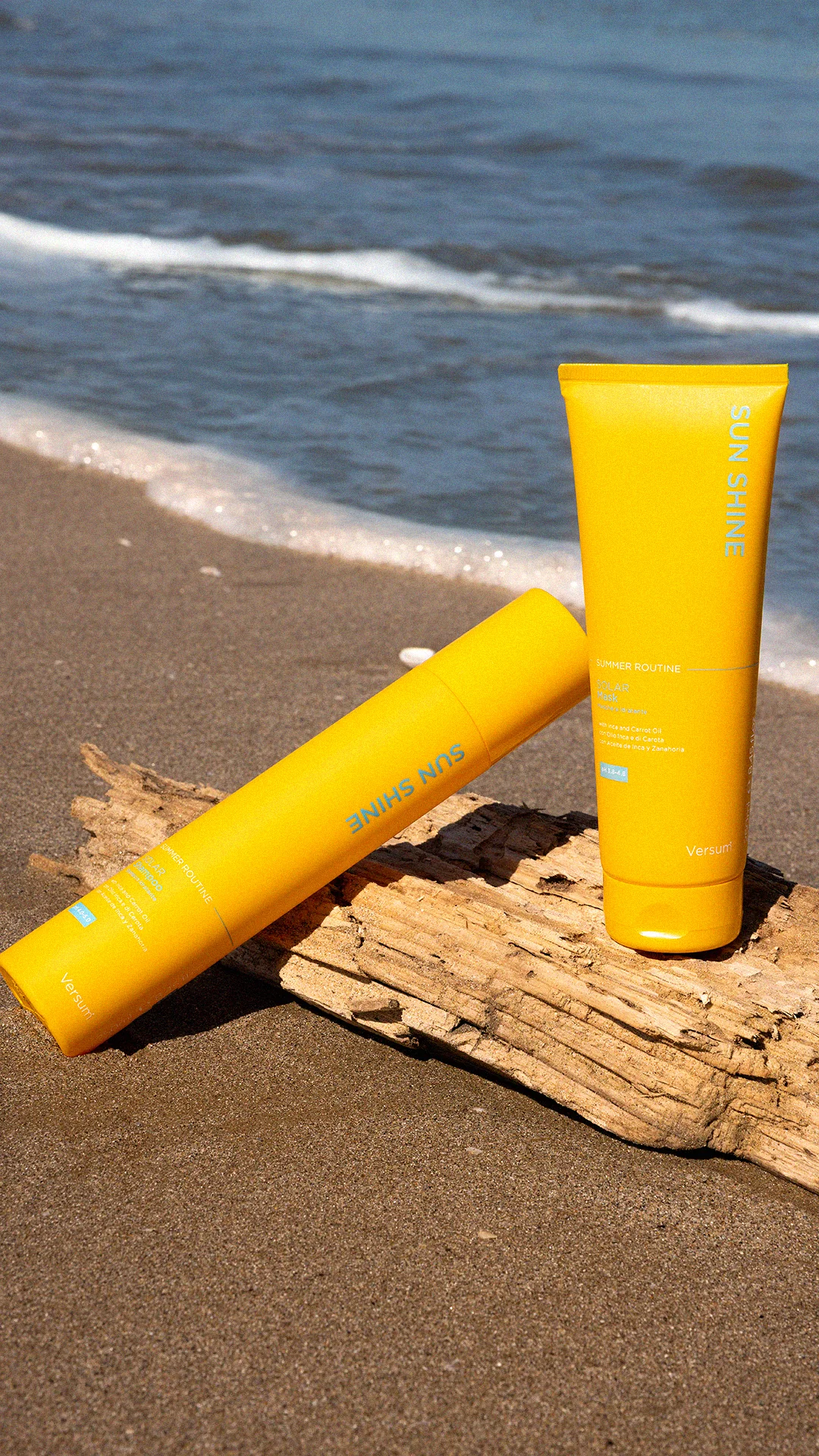 SUN SHINE — DRIFTWOOD DUO