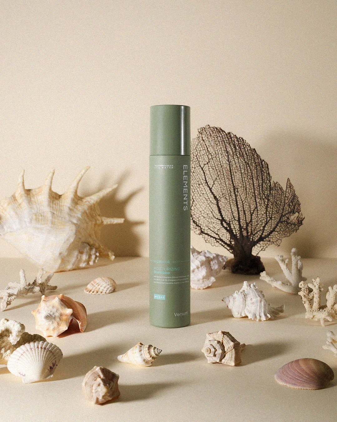 ELEMENTS — SHELLS & CORAL