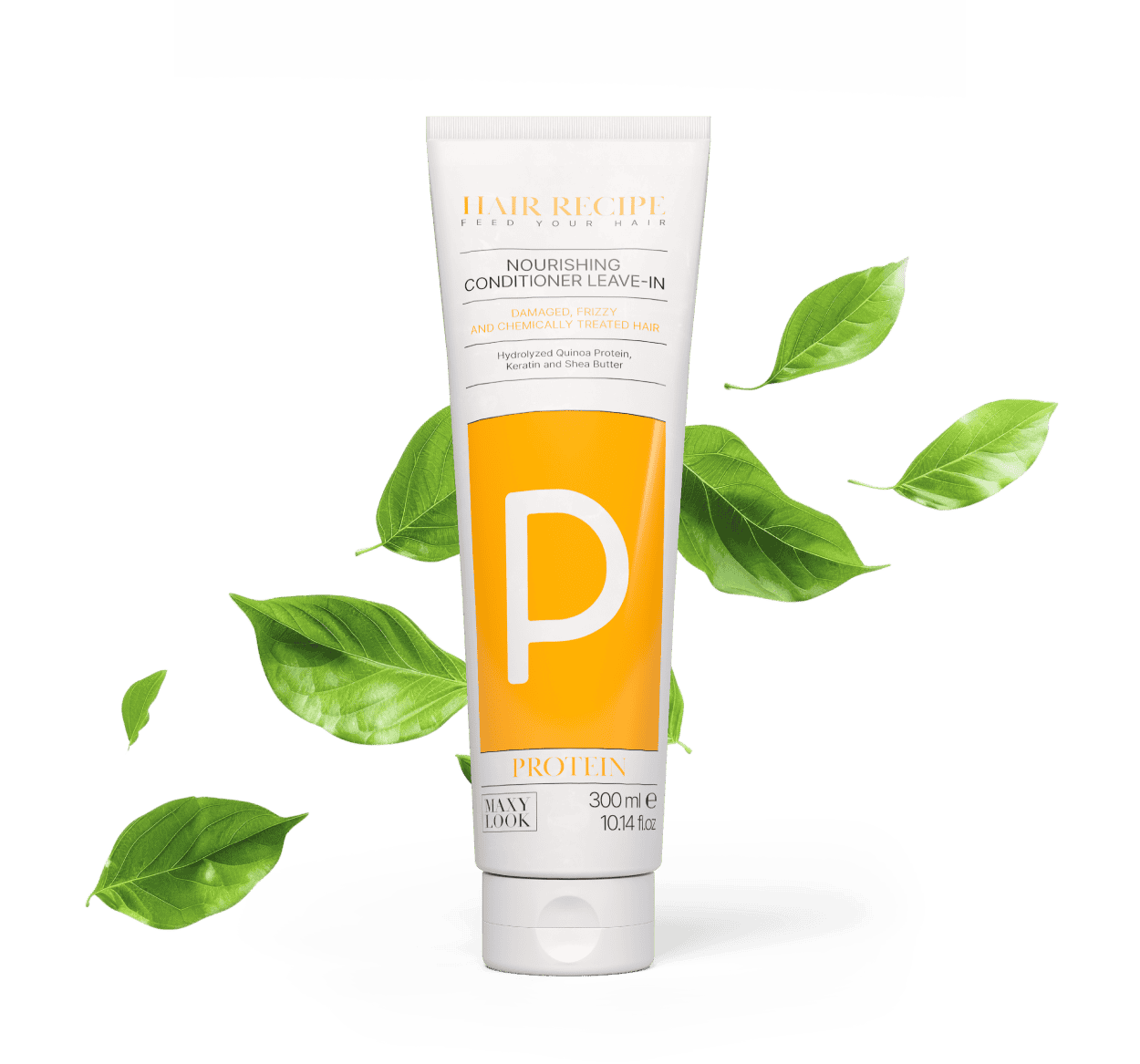 PROTEIN 6
