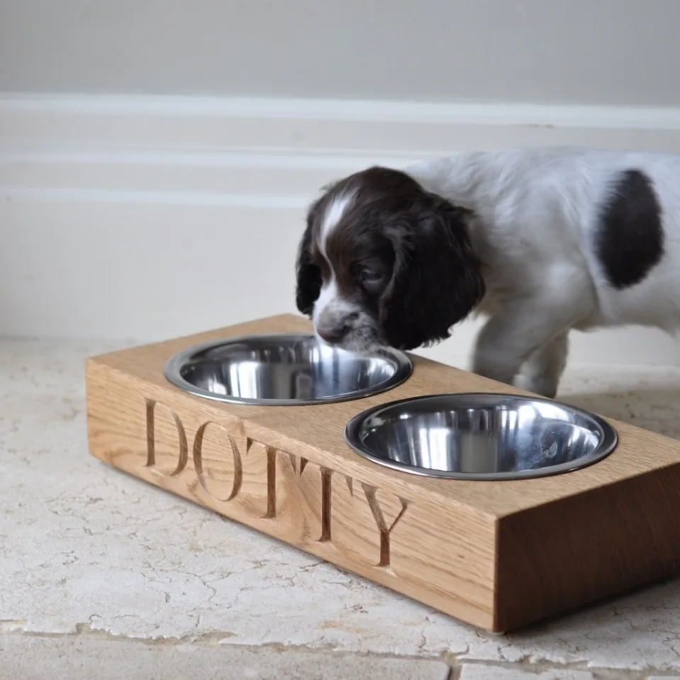 D:\Shosho\Darpedia Content\شهر سبتمبر\62\onepupdottybowl-1375465944-1.jpg