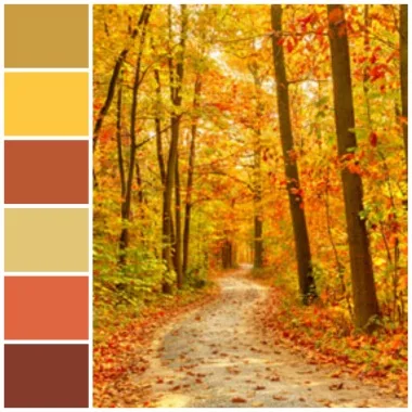 D:\Shosho\Darpedia Content\شهر سبتمبر\60\Leaves.jpg