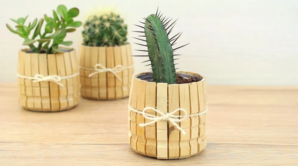 D:\Shosho\Darpedia Content\شهر نوفمبر\58\Simple-and-tiny-clothes-pin-planter.jpg