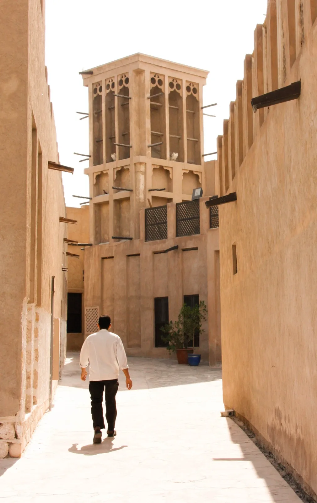 صورة ذات صلة