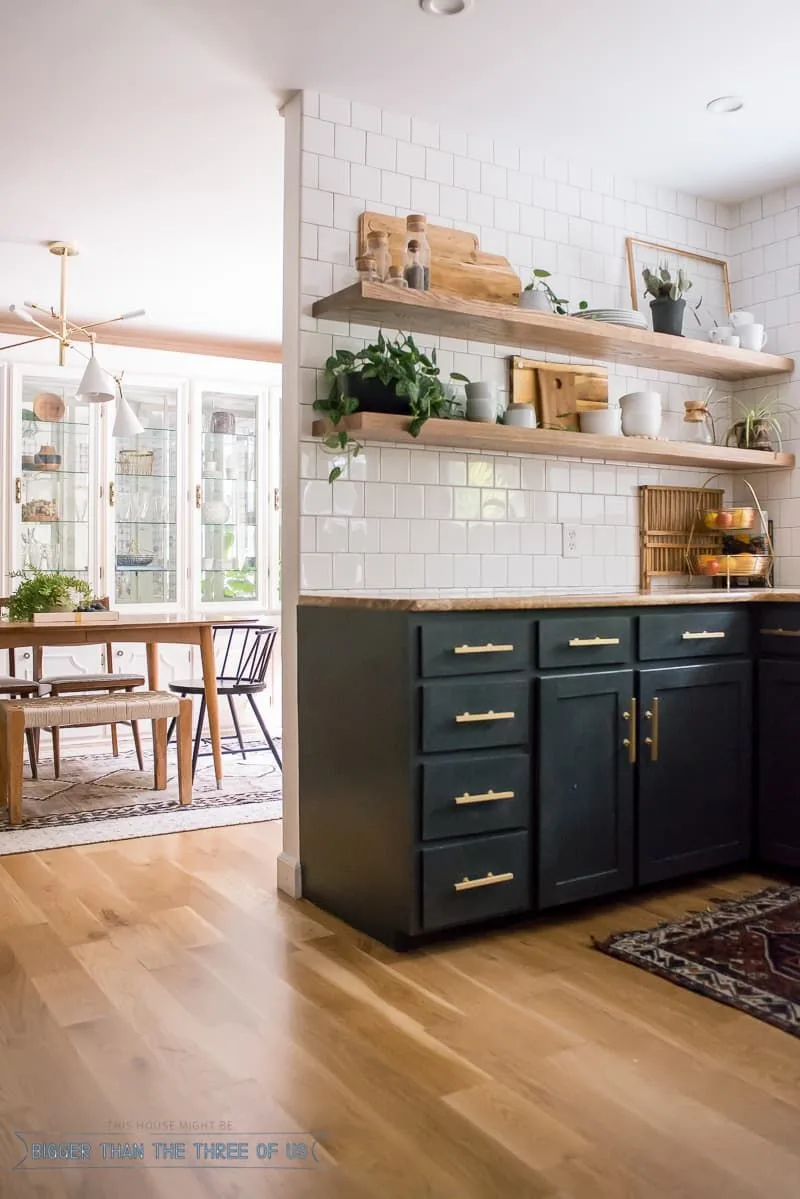 D:\Shosho\Darpedia Content\شهر نوفمبر\25\Open-shelving-live-lants.jpg