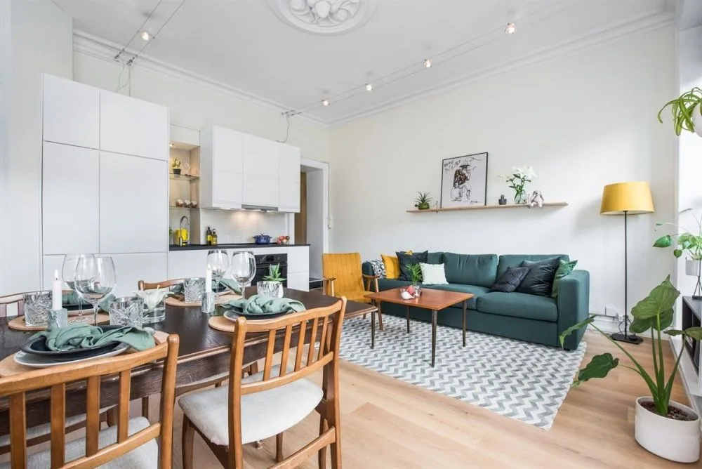 F:\Shery\44\Living-room-kitchen-and-dining-in-the-same-room-nordic-decor.jpg