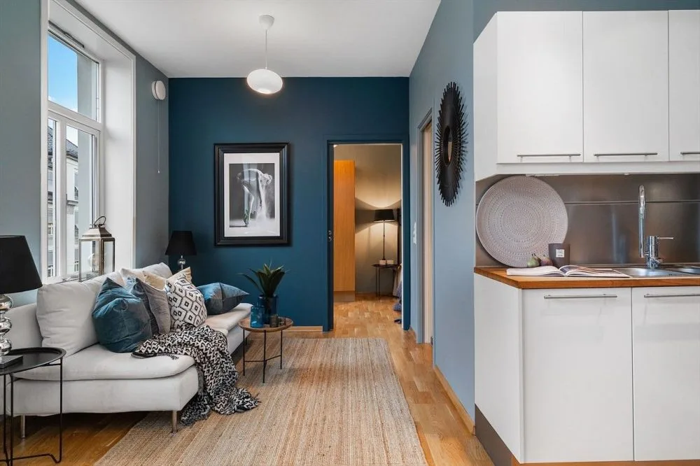 F:\Shery\44\Scandinavian-living-room-in-a-tiny-apartment-with-blue-walls.jpg